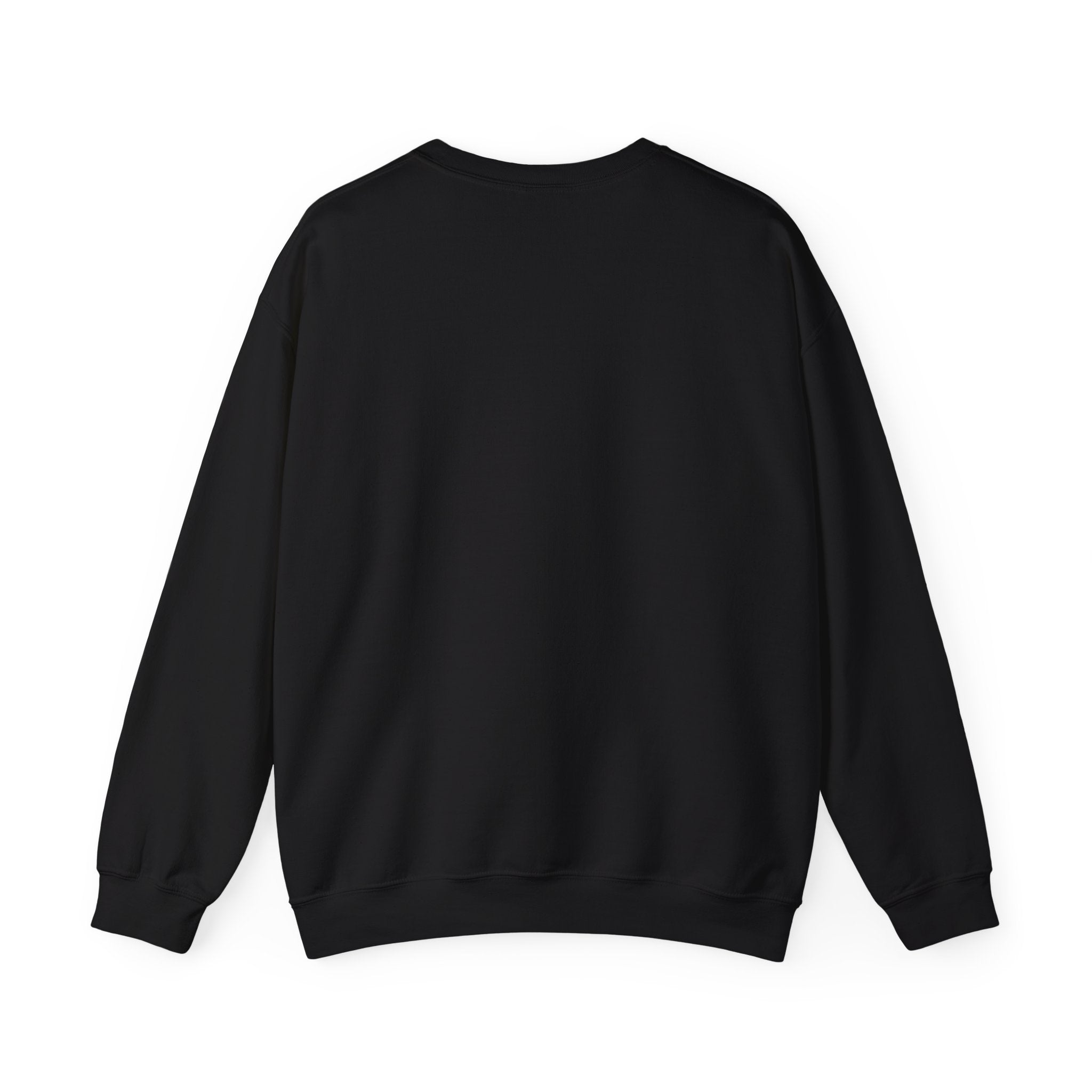 WJJD Patterned Letter Crewneck Sweatshirt — Leopard & Turquoise Accent