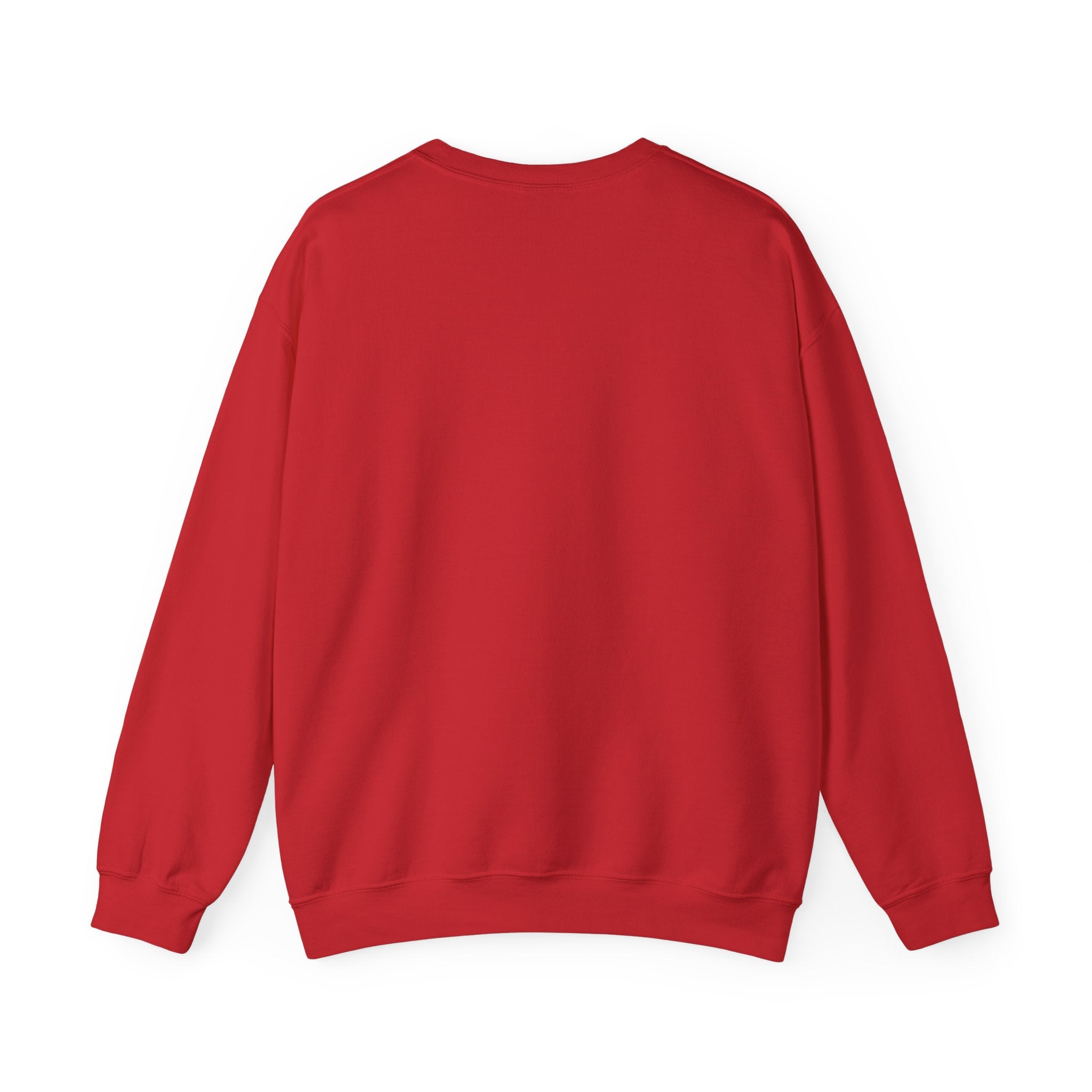 WJJD Patterned Letter Crewneck Sweatshirt — Leopard & Turquoise Accent