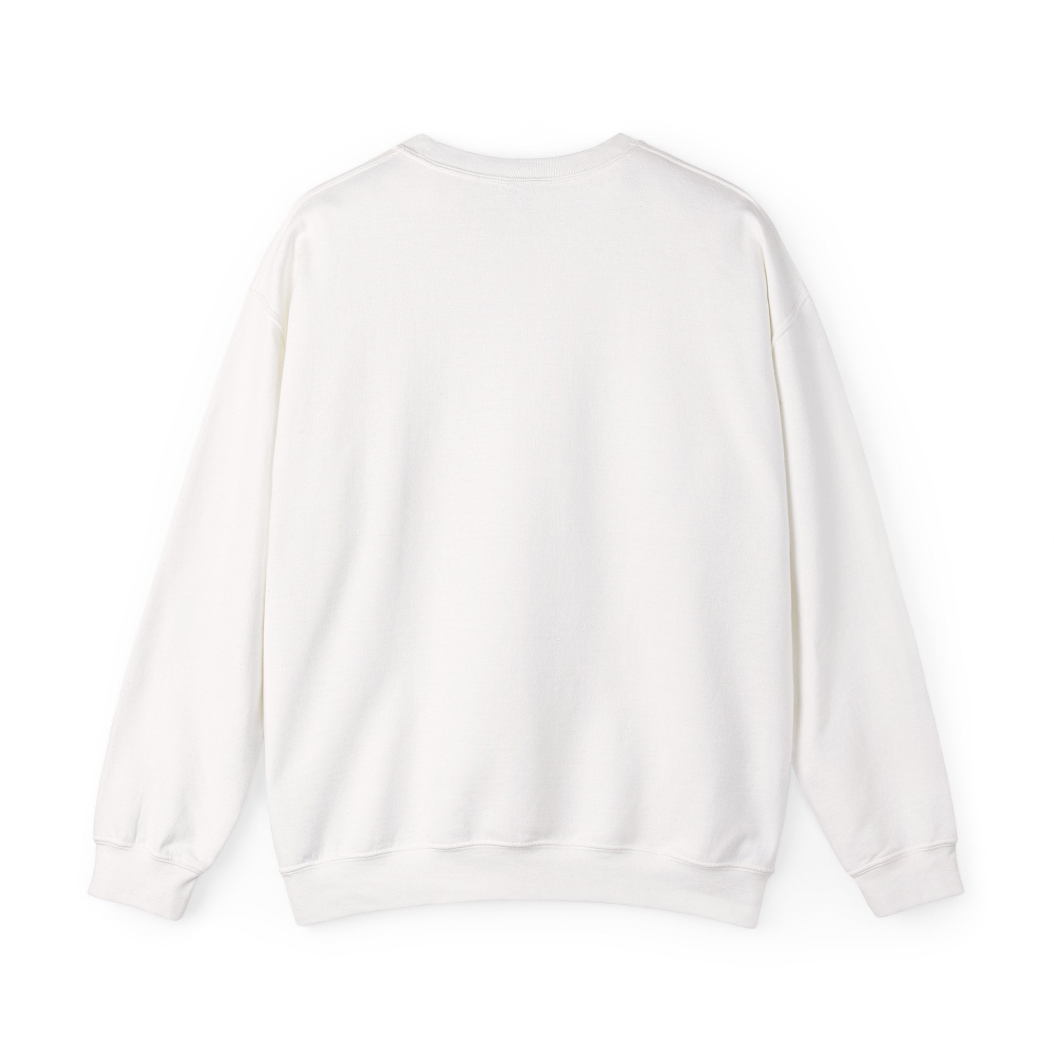 WJJD Patterned Letter Crewneck Sweatshirt — Leopard & Turquoise Accent