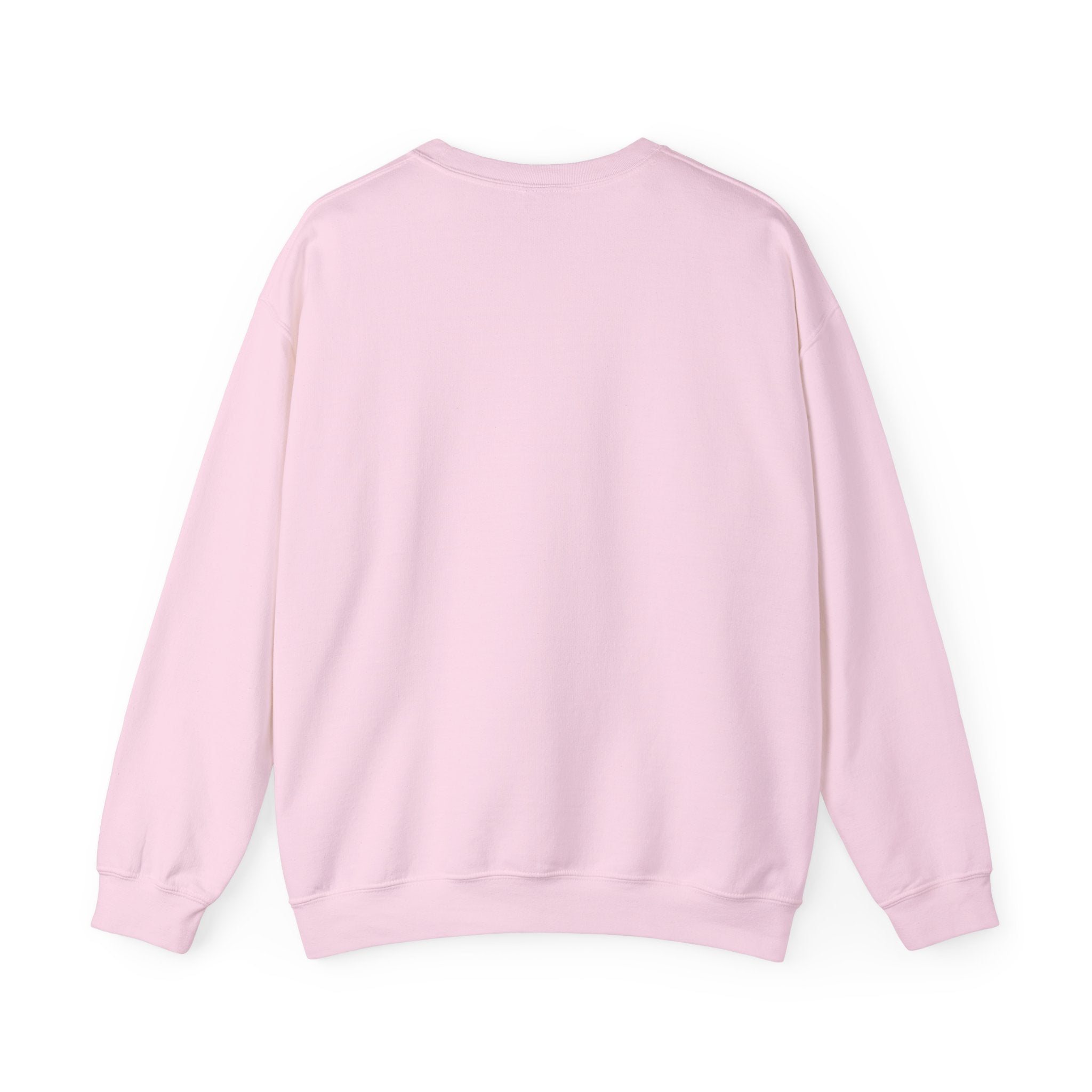 WJJD Patterned Letter Crewneck Sweatshirt — Leopard & Turquoise Accent
